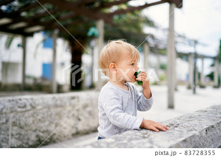 Kid stands near the curb in the courtyard of the house and gnaws a cucumber Kid stands near the curb in the courtyard of the house and gnaws a cucumber 83728355