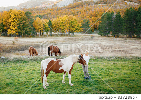 Woman feeds a brown and white horse in the autumn forest. Brown horses graze on the lawn 83728857