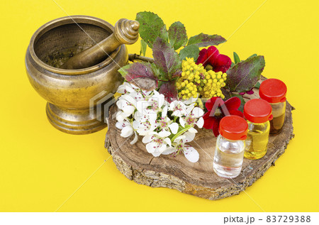 Use of medicinal plants in alternative medicine. Studio Photo Use of medicinal plants in alternative medicine. Studio Photo 83729388