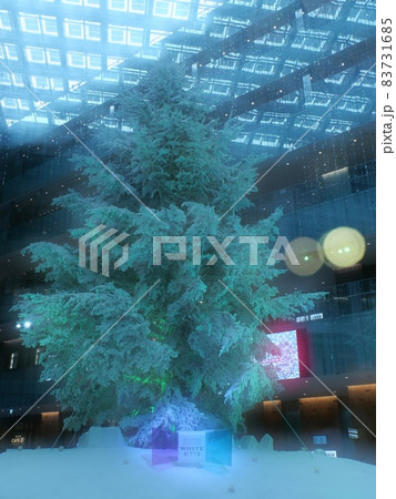 KITTEのクリスマスツリー KITTEのクリスマスツリー 83731685