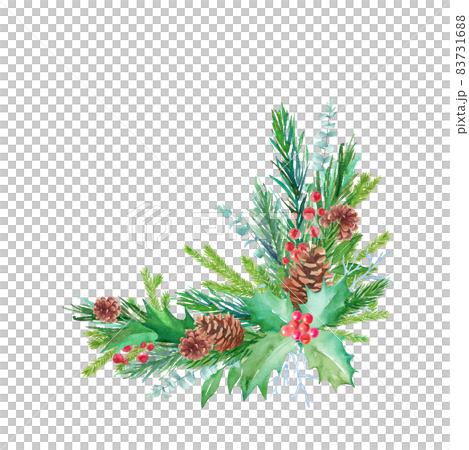 松毬、もみの枝、西洋柊などのクリスマス装飾の水彩イラスト。（ベクター。レイアウト変更可能）  83731688