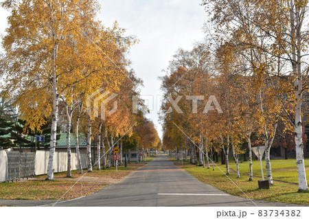 帯広畜産大学 83734382