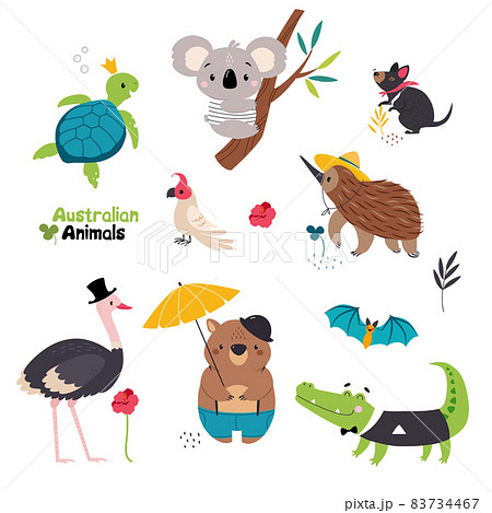 Australian Animals with Kangaroo Koala Bear on... - Stock Illustration  [83734467] - PIXTA