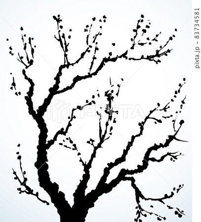 Vector image of mighty tree with bare branches 83734581