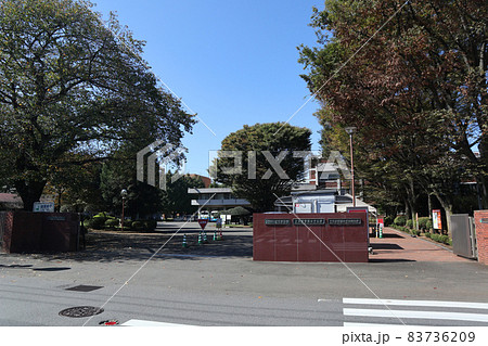 十文字学園女子大学 十文字学園女子大学 83736209