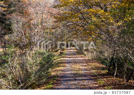 とても美しい日本の秋の山の風景 83737087