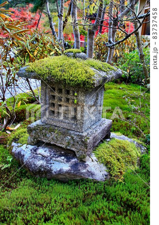 紅葉を背に苔が美しい石灯籠 秋の日本庭園の写真素材 [83737458] - PIXTA