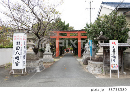 羽田八幡宮の参道 羽田八幡宮の参道 83738580