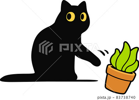 Cat knocking plant off table 83738740