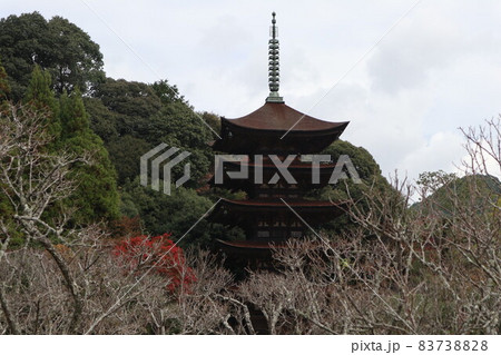 山口瑠璃光寺の紅葉 山口瑠璃光寺の紅葉 83738828