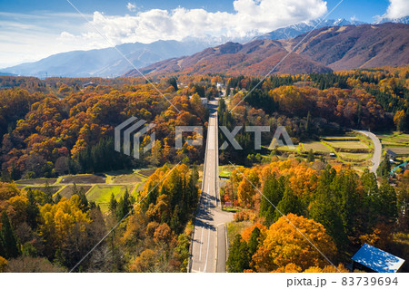 美しい紅葉に包まれた栂池パノラマ橋 長野県小谷村(ドローンによる空撮) 美しい紅葉に包まれた栂池パノラマ橋 長野県小谷村(ドローンによる空撮) 83739694