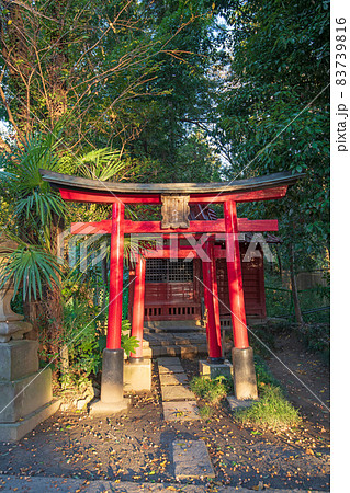 妻沼聖天山　歓喜院　境内　赤子稲荷神社　秋の季節 83739816