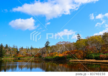 北海道岩内郡　神仙沼　全景2　秋＆紅葉＆快晴 83740150