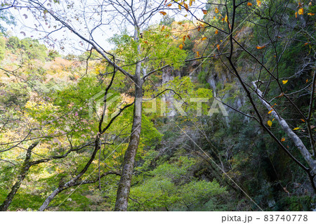 天狗柱岩（赤目四十八滝） 83740778