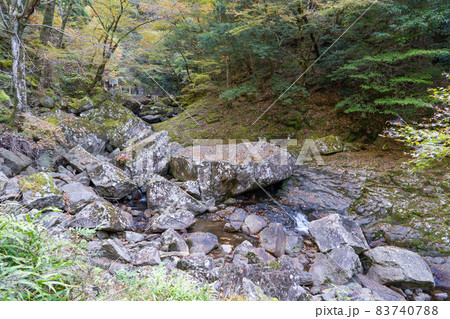 八畳岩（赤目四十八滝） 83740788