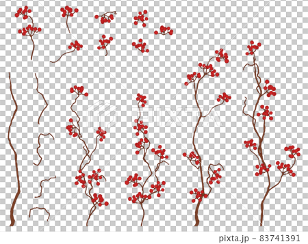 Set of red glabra fruit 83741391