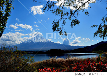 紅葉の河口湖からの富士山の風景 83741920