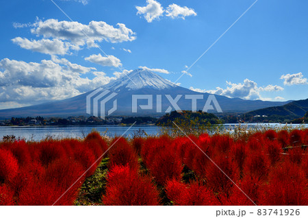 紅葉の河口湖からの富士山の風景 83741926