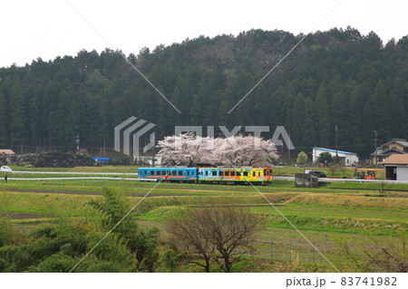 春の根尾路散策・29（岐阜県本巣市） 83741982