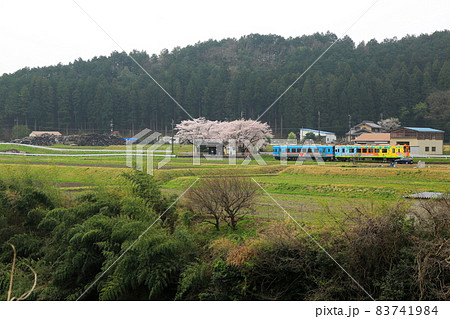 春の根尾路散策・27（岐阜県本巣市） 83741984