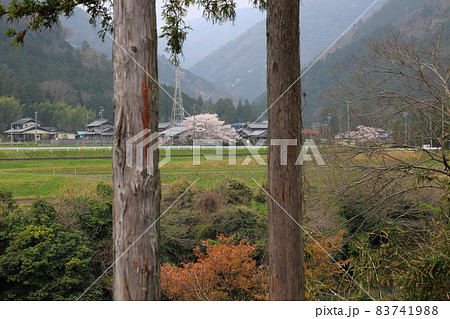 春の根尾路散策・23(岐阜県本巣市) 春の根尾路散策・23(岐阜県本巣市) 83741988