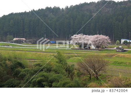 春の根尾路散策・7（岐阜県本巣市） 83742004