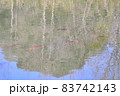 日本画の様な池面の鯉（パステル背景）　　日本画の様な風景（池の鯉） 83742143