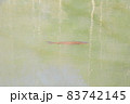 日本画の様な池面の鯉（パステル背景）　　日本画の様な風景（池の鯉） 83742145