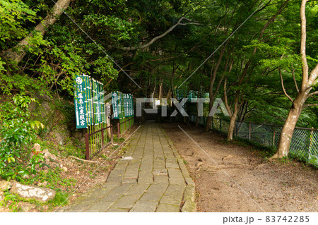 【愛知県】 鳳来山 東照宮 【愛知県】 鳳来山 東照宮 83742285