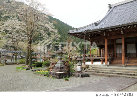 春の根尾路散策・69(岐阜県本巣市) 春の根尾路散策・69(岐阜県本巣市) 83742882