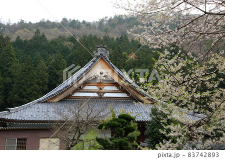 春の根尾路散策・58(岐阜県本巣市) 春の根尾路散策・58(岐阜県本巣市) 83742893