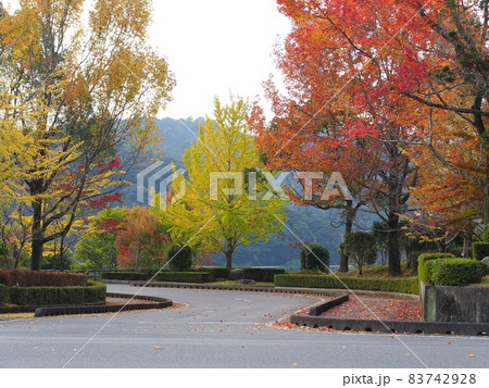 「米泉湖公園・山口県下松市」秋が深まる 83742928