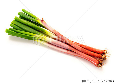 赤ねぎ 赤ねぎ 83742963