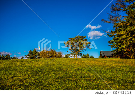 秋晴れの空と緑の芝生。山形県南陽市、十分一山 秋晴れの空と緑の芝生。山形県南陽市、十分一山 83743213