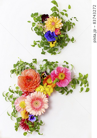 白背景の花束 83743272