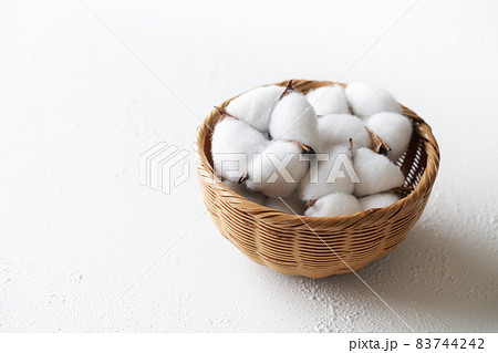 綿花　コットンフラワー 83744242