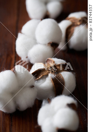 綿花　コットンフラワー 83744357