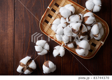 綿花　コットンフラワー 83744370