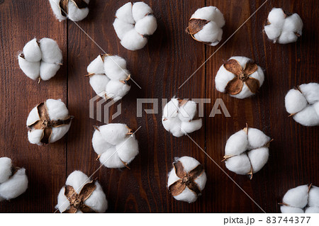 綿花　コットンフラワー 83744377