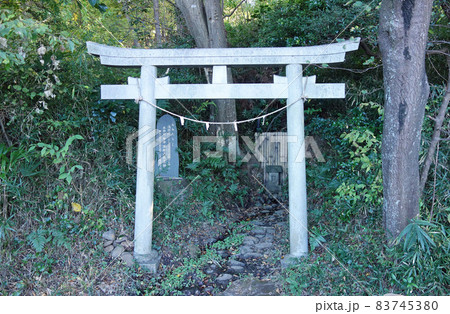 府中市の都立浅間山公園(みたらし神社) 府中市の都立浅間山公園(みたらし神社) 83745380