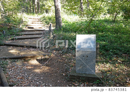 府中市の都立浅間山公園(女坂) 府中市の都立浅間山公園(女坂) 83745381