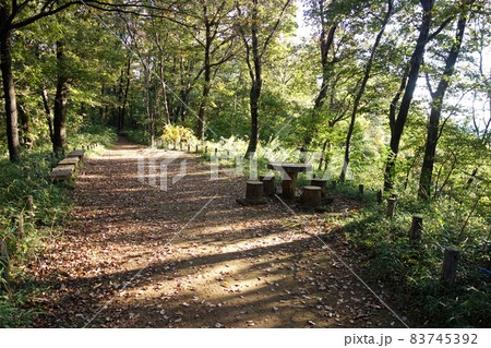 府中市の都立浅間山公園(富士見百景) 府中市の都立浅間山公園(富士見百景) 83745392