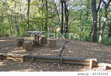 府中市の都立浅間山公園(前山) 府中市の都立浅間山公園(前山) 83745393