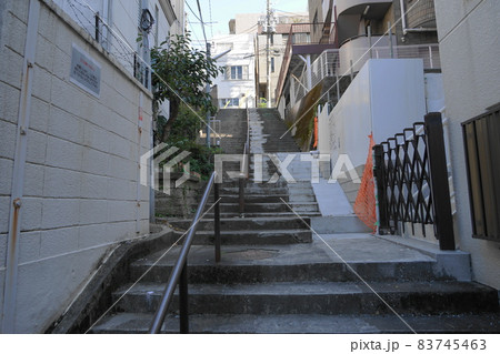 11月　新宿327荒木町･スリバチ地形の町 83745463