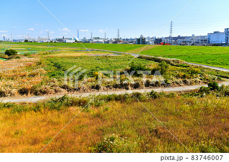 笹目橋/荒川より下流方向を望む(埼玉県戸田市)【2021.11】 笹目橋/荒川より下流方向を望む(埼玉県戸田市)【2021.11】 83746007