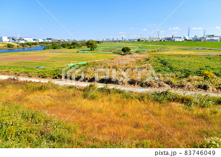 笹目橋／荒川より下流方向を望む(埼玉県戸田市)【2021.11】 83746049