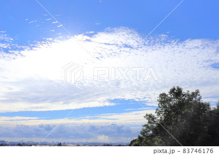 朝の空 青空 雲 太陽 木 平野 朝の空 青空 雲 太陽 木 平野 83746176