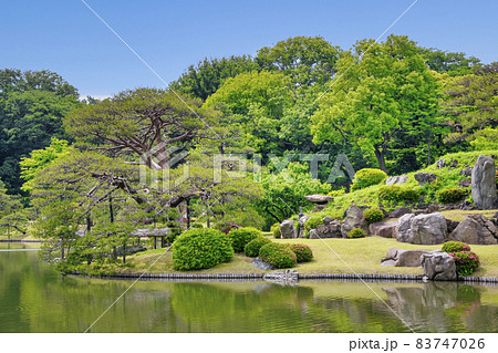 東京都 六義園中の島・妹山(いもやま) 特別名勝 東京都 六義園中の島・妹山(いもやま) 特別名勝 83747026