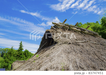 秋の北田遺跡と稲穂 長野県飯田市上久堅 秋の北田遺跡と稲穂 長野県飯田市上久堅 83747451