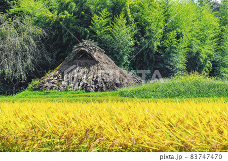 秋の北田遺跡と稲穂 長野県飯田市上久堅 秋の北田遺跡と稲穂 長野県飯田市上久堅 83747470